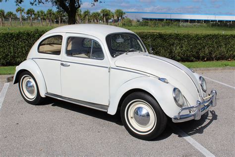 1961 Volkswagon Beetle Classic Cars Of Sarasota