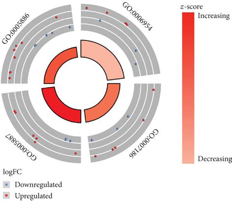 Go And Kegg Pathway Enrichment Analysis Of Degs In Gse29111 A