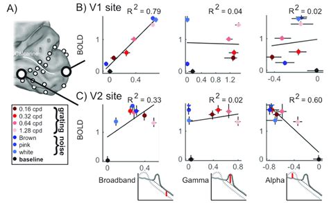 Measured Correlation Between Ecog And Bold In V1 And V2v3 A The