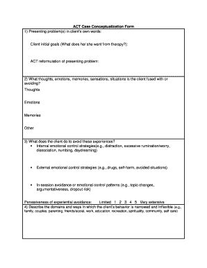 Case Conceptualization Example Pdf Fill Online Printable Fillable