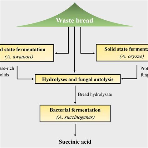 Pdf Modern Microbial Solid State Fermentation Technology For Future