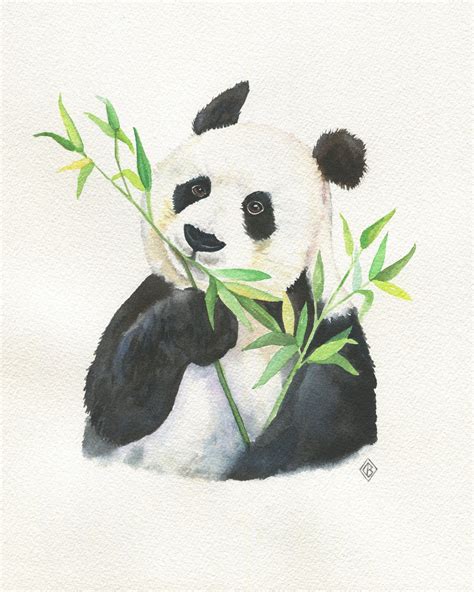 Panda With Bamboo Drawing