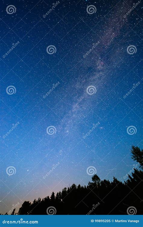 Colorful Milky Way Galaxy Seen In Night Sky Over Trees Stock Image