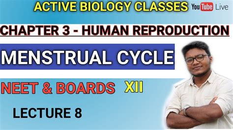 Menstrual Cycle Class Human Reproduction Class Neet