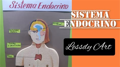 Maqueta Sistema Endocrino Y Sistema Nervioso Maqueta Del Sistema Porn