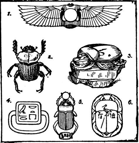 Egyptian scarabs | ClipArt ETC