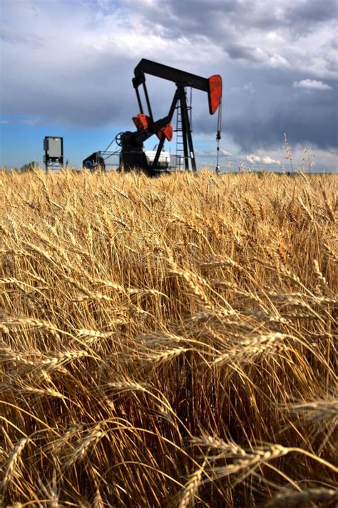 Oil Field Pump Jack stock photo. Image of blue, gasoline - 101351226