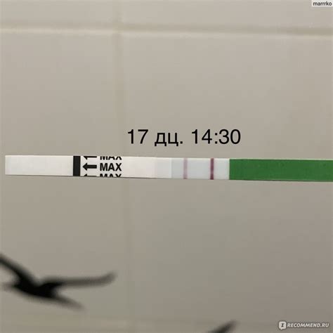 Тест на овуляцию MIAPlan Ovuplan и беременность lady test 5+1 - «Лучшие ...