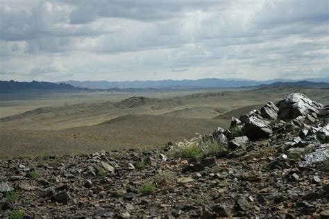 save  wild horse great gobi  biosphere