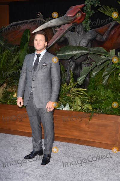 Photos And Pictures Chris Pratt At The Jurassic World Fallen Kingdom Premiere Walt Disney