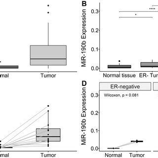 MiR 190b Expression In Our Cohort A Overall MiR 190b Expression Is