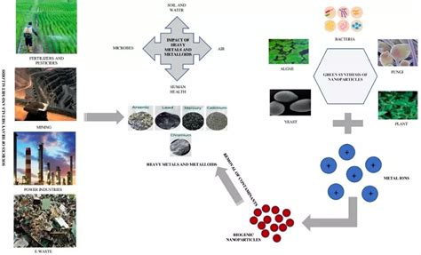 Nanotechnology For The Bioremediation Of Heavy Metals And Metalloids