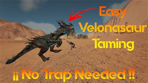 EASIEST Way To TAME VELONASAUR NO TRAP YouTube