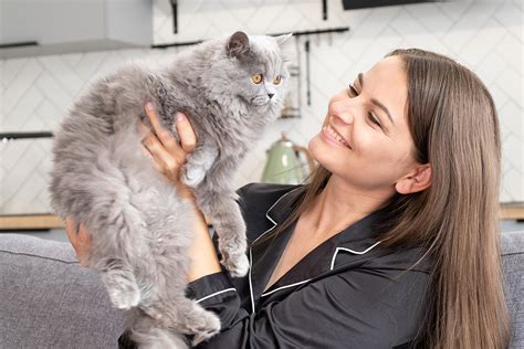 Promedio de vida de un gato qué tener en cuenta Manchas