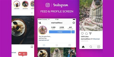 100 Best Instagram Templates To Gain More Followers