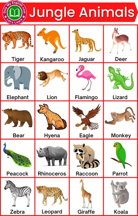 30 Jungle Animals List With Pictures