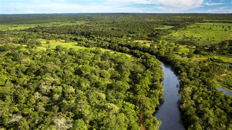 Visite o Parque Estadual da Serra do Conduru em Ilhéus e Uruçuca BA