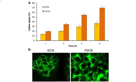 Cellular Uptake Analysis Of Gcn And Fgcn In Hela Cervical Cancer Cells