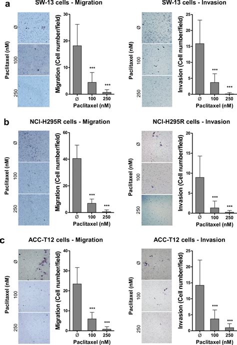 Paclitaxel Reduces Migration And Invasion In Adrenocortical Carcinomas