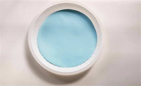 Plant Photosynthesis Craft - Only Passionate Curiosity