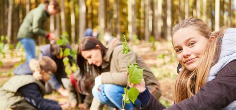 Educazione Ambientale Per Il Futuro Dei Giovani Moveo