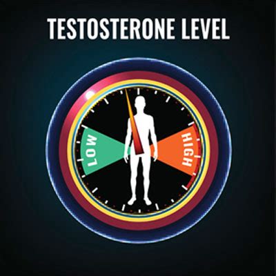 Testosterone Levels in Men and Women - Average, High and Low