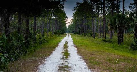 Friends Of St Marks Wildlife Refuge