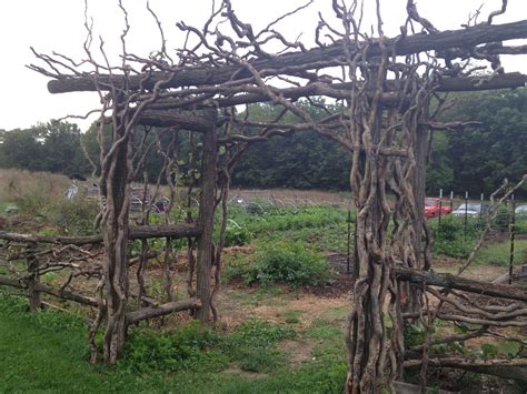 Twig Furniture And Woodland Decor Garden Archway Garden Arbor Rustic