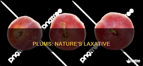 Plums Natures Laxative Medshun