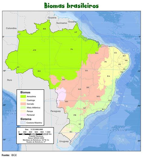 Geografia Biomas Do Brasil Conexão Escola Sme