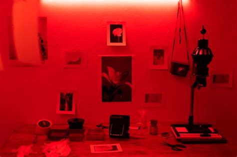 photo developing photographs  darkroom concept