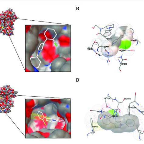 Schematic Representation For The Proposed Binding Mode Of Compound P