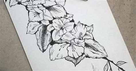 Flower Sketch Free Hand Imgur