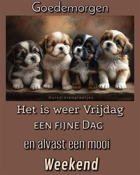 Pin Van Janny L Cats Op Allerlei Dagen Plaatjes Goedemorgen Vrijdag