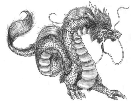 Chinese Dragon Drawing In Pencil