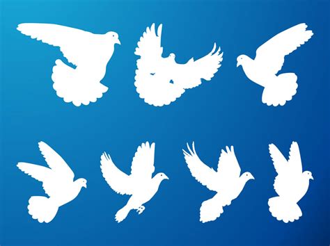 Flying Pigeons Set Vector Art And Graphics