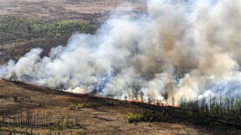 Incendios En El Delta Detenidos