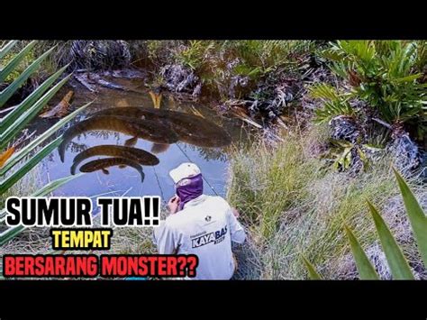 Diluar Nalar Ternyata Sumur Tua Ini Tempat Ikan Besar Bersarang Youtube