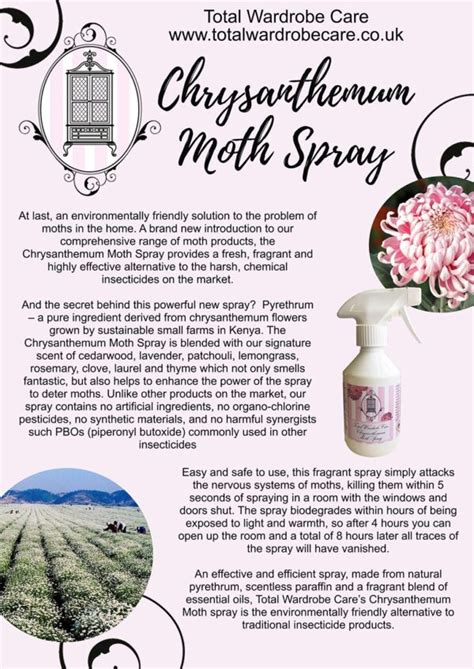 Chrysanthemum Moth Spray Natural Moth Prevention