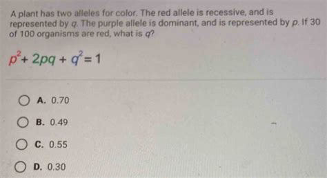 A Plant Has Two Alleles For Color The Red Allele Is Recessive And Is