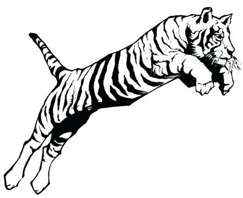 Lsu Tiger Drawing | Free download on ClipArtMag