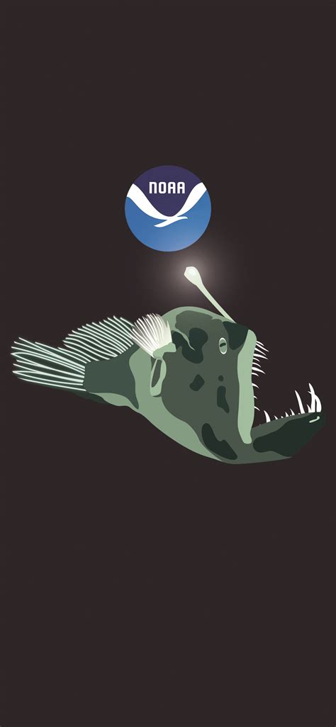 Noaa Logo Vector At Collection Of Noaa Logo Vector