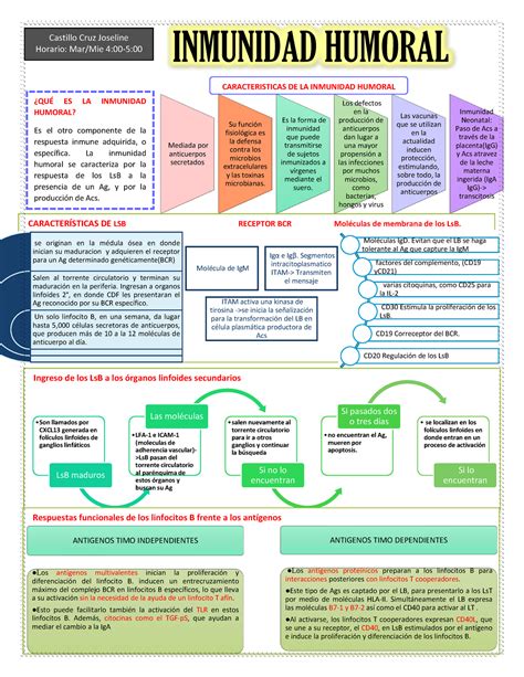 Inmunidad Humoral Apuntes Castillo Cruz Joseline Horario Mar Mie