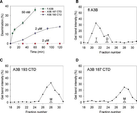 Figure 1 From Enzyme Cycling Contributes To Efficient Induction Of