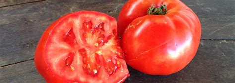 Beefsteak Tomatoes Fifth Crow Farm