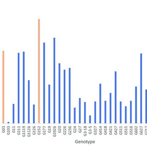 Nitrogenase Activity Measured By Acetylene Reduction Assay Of 33 S