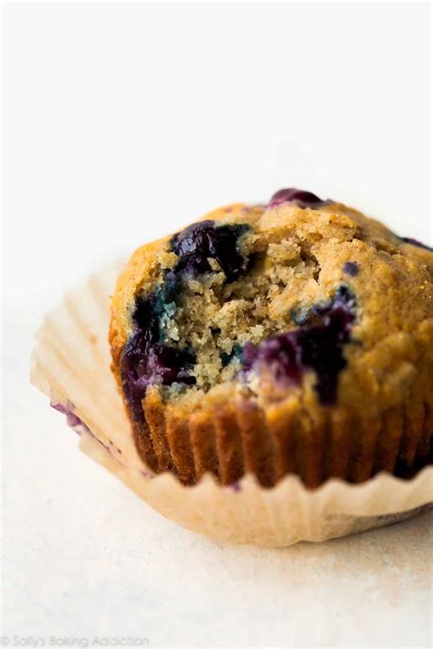 Blueberry Oatmeal Muffins Sallys Baking Addiction