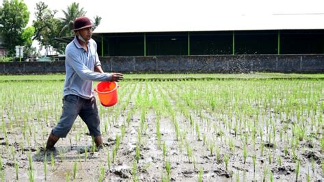 Dpr Apresiasi Capaian Kementan Tingkatkan Kesejahteraan Petani