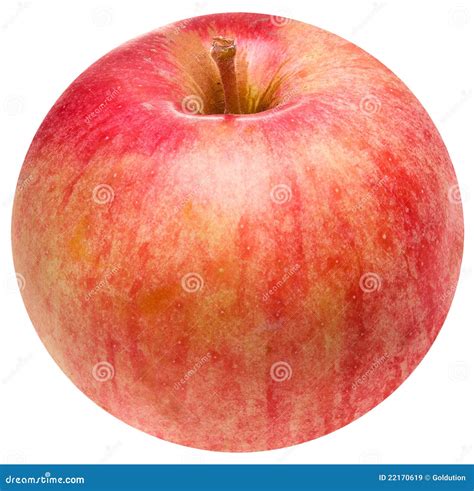 Really Round Apple Royalty Free Stock Images Image 22170619