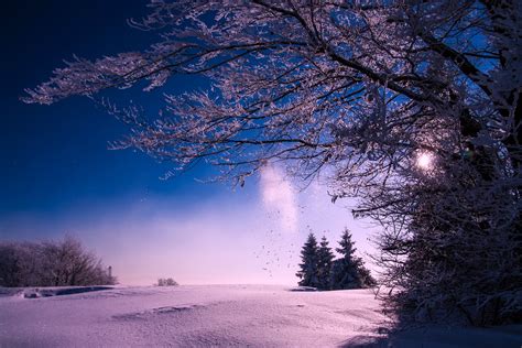 Free Images Landscape Tree Nature Forest Branch Snow Winter